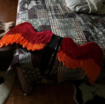 Untitled Untitled